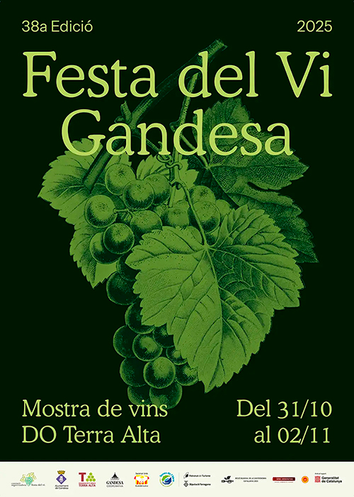 festavigandesa2025500