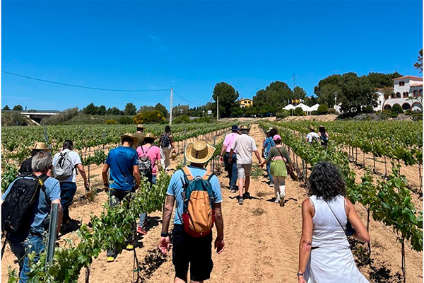 Primavera del cava